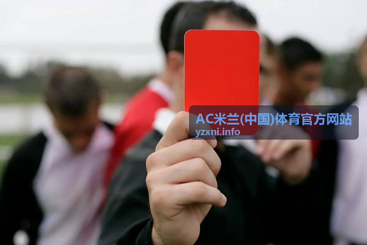 AC米兰(中国)体育官方网站 米兰中国资讯阅读指南背景图